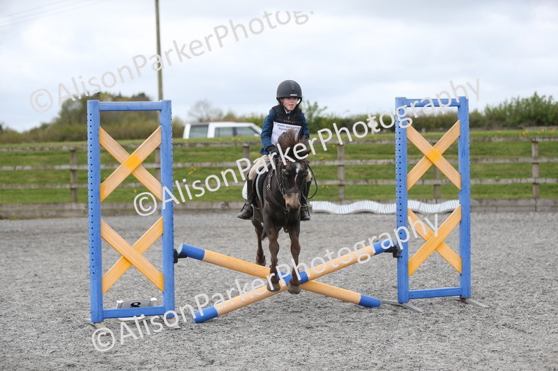 20260412-0581 - Show Jumping
