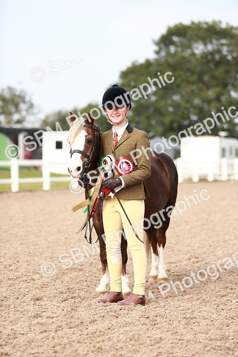 SBM_10620 - Class 204 Young Handler, 11-16 years