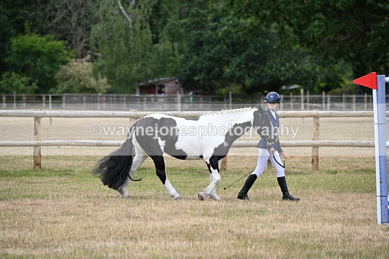 WJ6_4178 - Class 10 Coloured In-hand