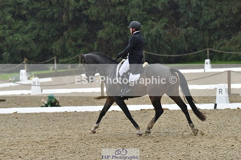 231018-153600-00823 - 011-BIG.QUERLYBET.K.Z-Paul.Whitehead-DR