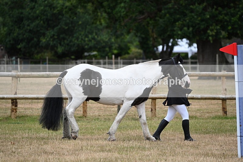 WJ6_4162 - Class 10 Coloured In-hand