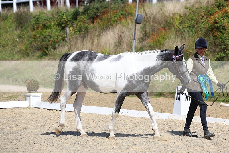 3E7A9800 - In Hand Championship