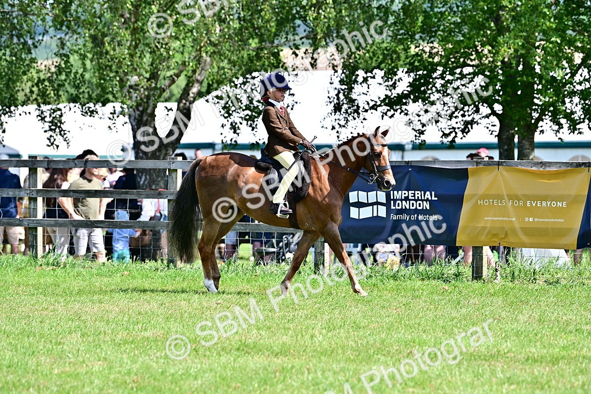 SBM_13862 - Class 95-97 - BSPS LHS Performance Ponies