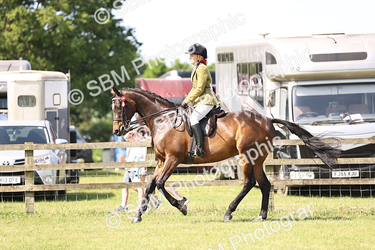 SBM_12996 - Class 75-76 LIHS BSHA Rising Star Hack Riding Horse