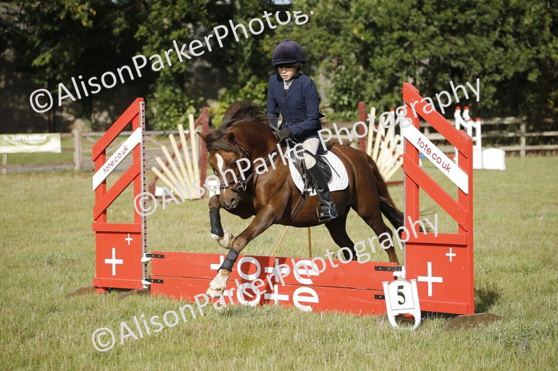 20250831-0087 - Class 1 - 50cm