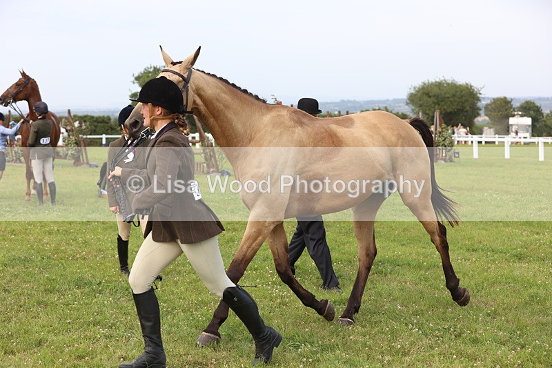 JPP_4551 - Class 26: Working Hunter 1m