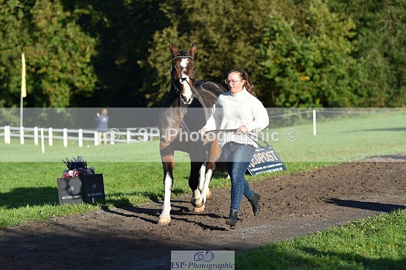 231022-094200-21980 - 444-REDHILL.SKANDEL-Emma.Stokes-TrotUp+SJ