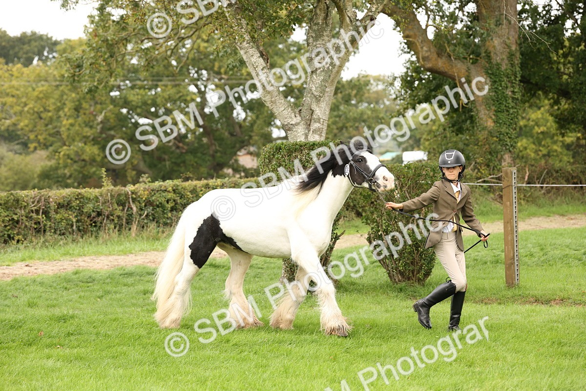 SBM_59265 - S57 - Traditional Cob In Hand
