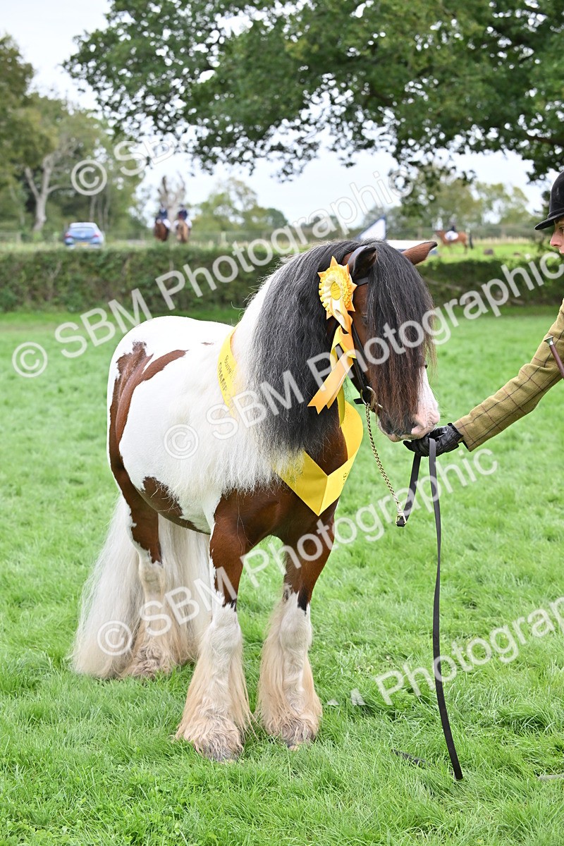 SBM_65040 - In Hand Pony & Younstock Supreme Championship