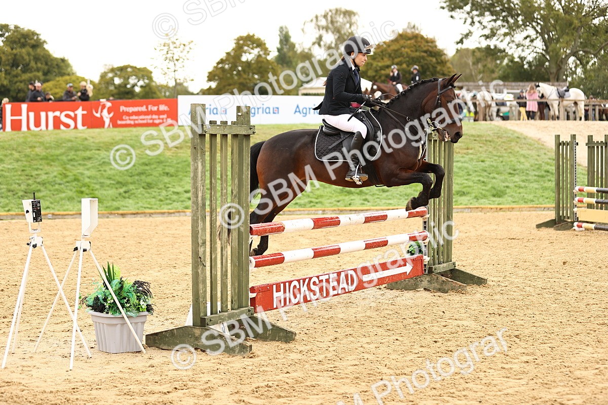 SBM_58283 - J41 - Grand Tour Horse & Pony 95cm