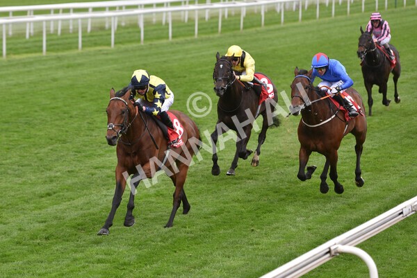 yr14052021r3-22 - Race 3 2.40pm The Matchbook Best Value Exchange Stakes