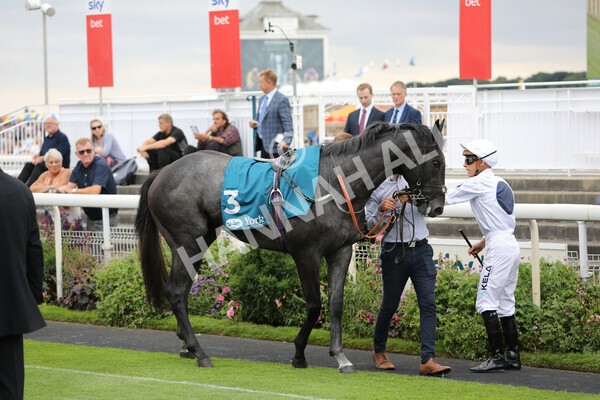yr23072022r7-2 - Race 7 5.35pm Sky Bet Paying Extra Places Stakes