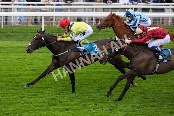 120724-Race 4-Karmology-1733 - Race 4 3.50pm Azets Handicap