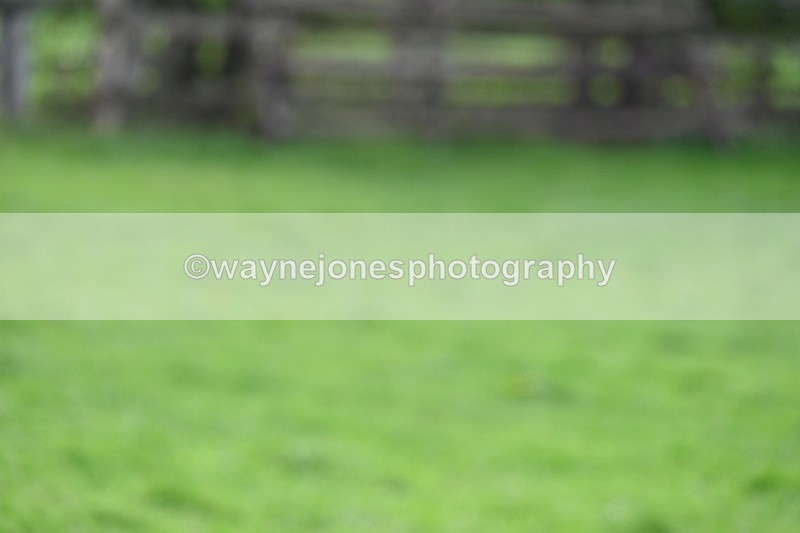 WJ7_8438 - Time 12:12 to 12:37