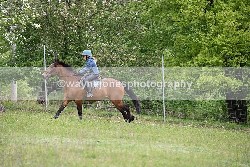 WJ6_1554 - Group 4 A&B Cameras