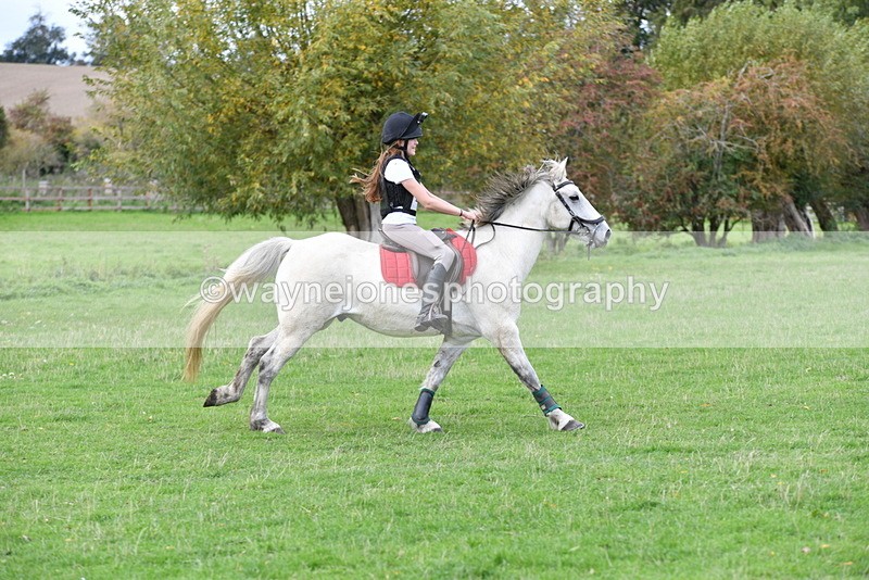 WJ5_1033 - Time 14:29 to 15:31