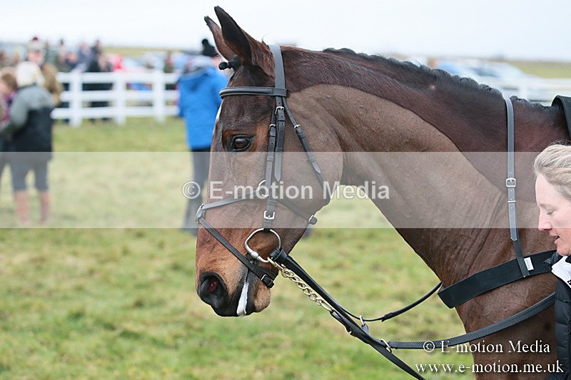 PtP 170219 -31 - Combined Services Point-To-Point Larkhill 17/02/19