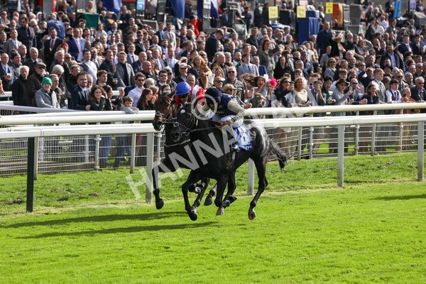 141023-Race 1-Purosangue-0275 - Race 1 1.15pm Coral Rockingham Stakes