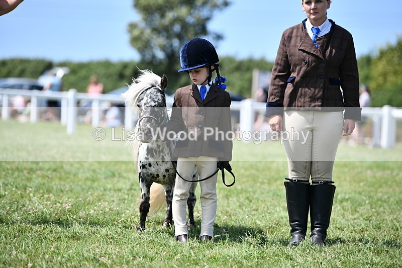 DSC_8008 - Class 66: Child Handler 10 years and under