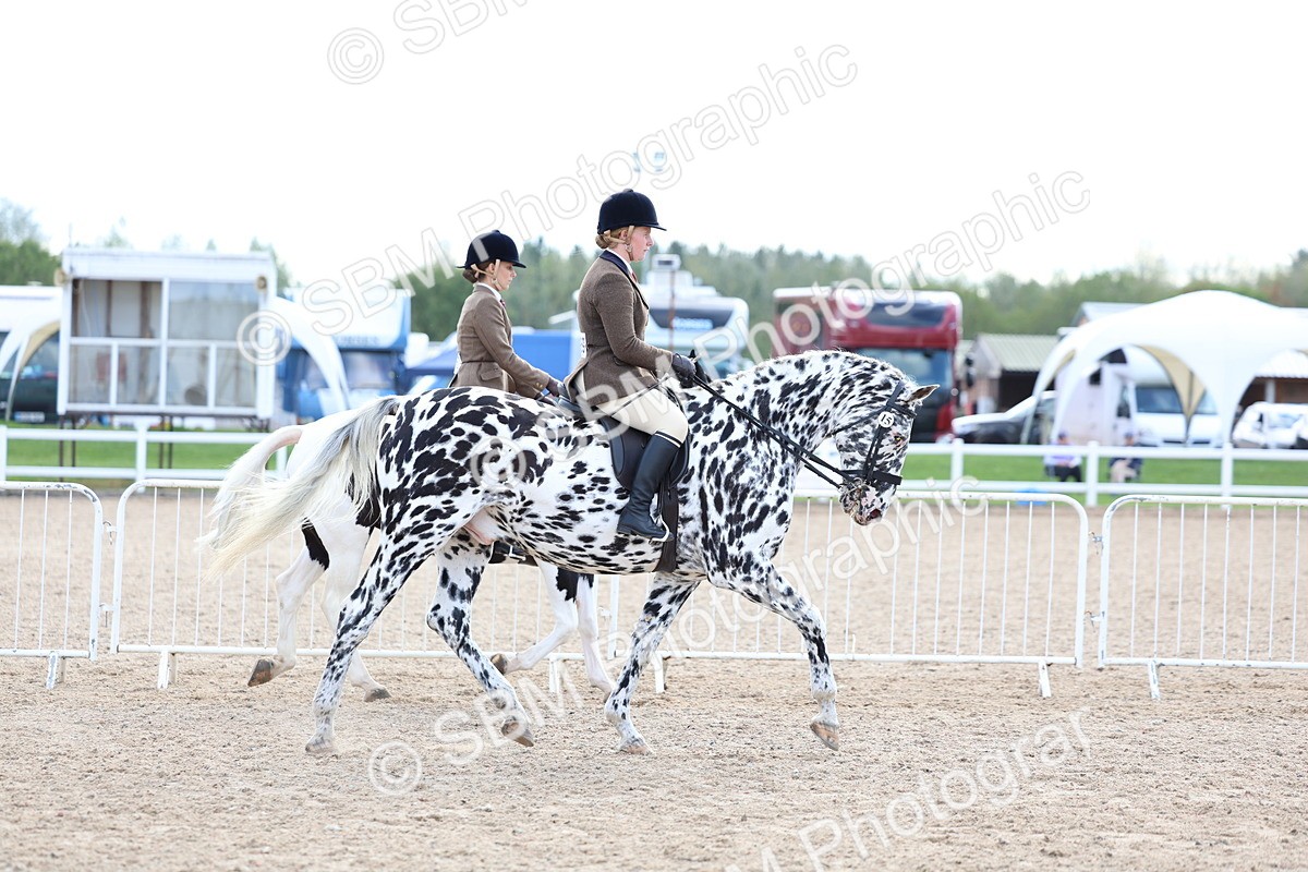 SBM_17082 - Class 315 - Best Horse - Rider Combination