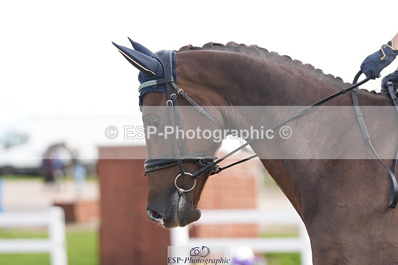 250906-104054-01537 - 006-Verity.PerryVogue