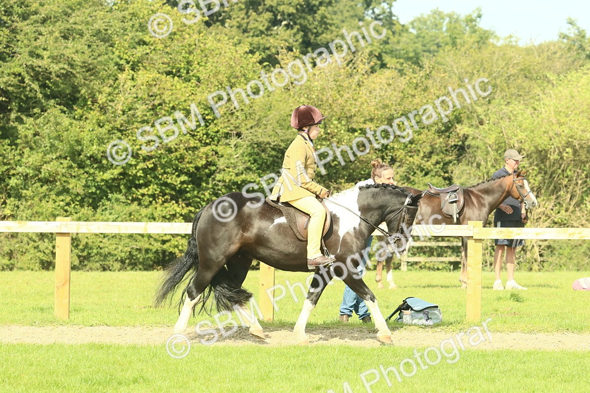 SBM_67410 - S56 - Coloured Pony Ridden