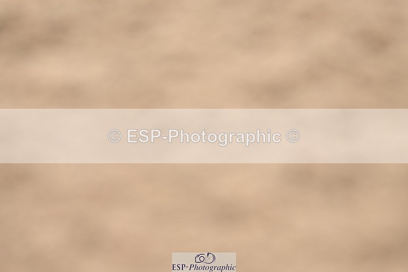 240514A-163932-00091 - 70cm