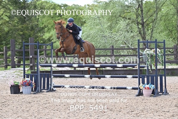 BPP_5491 - CLASS 4  BritishNovice/ 90cm Open