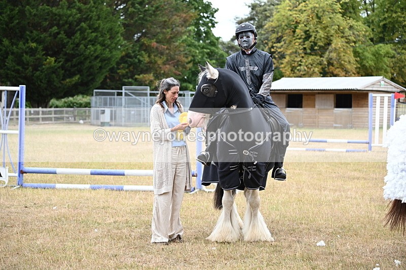 WJ6_9021 - Class 11 Fancy Dress