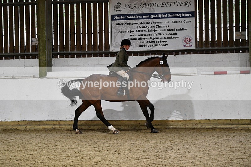 WJ5_8869 - Class 15 Ridden Show Horse