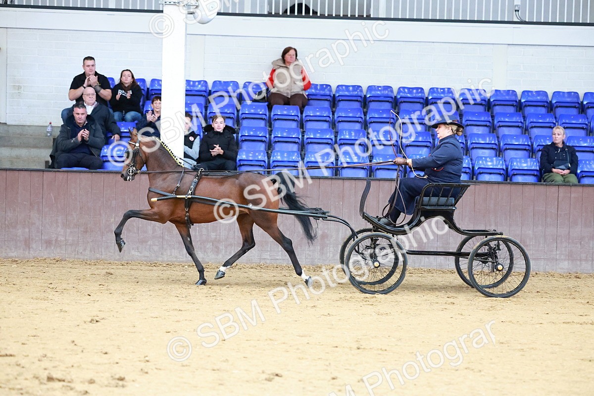 SBM_000649 - Class 9 - HHS Championship Intl Hackney Pony to a Showwagon