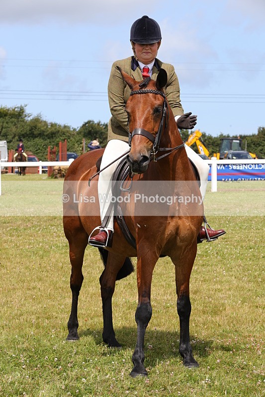 1X9A4112 - Class 32: Show Hunter Pony 153cm and under