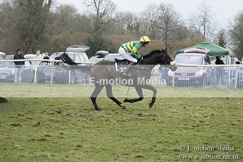 PtP 110318 482 - Hampshire Hunt Point-to-Point Hackwood Park 11/03/18
