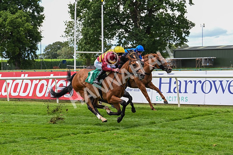 020725-Race 2-Divine Knight-2014 - Race 2