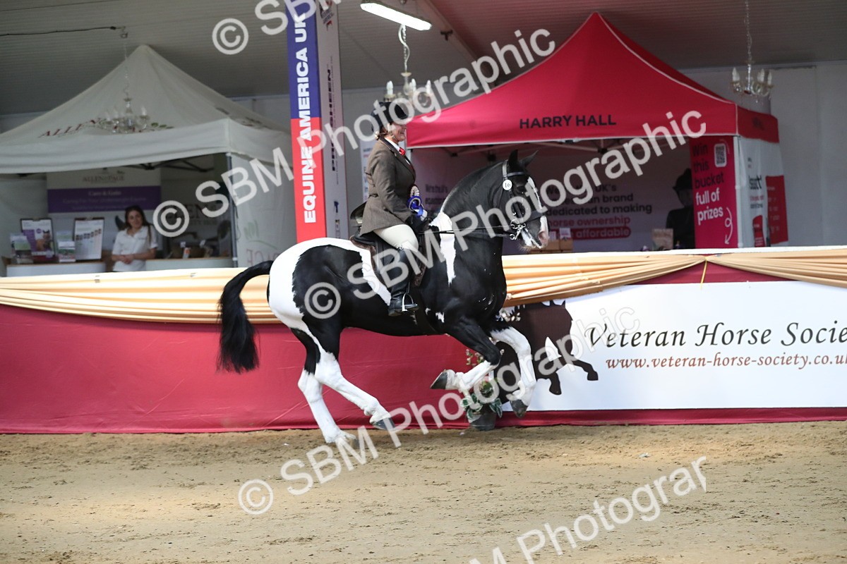 SBM_03008 - Class 6a Area Ridden Pre Vet