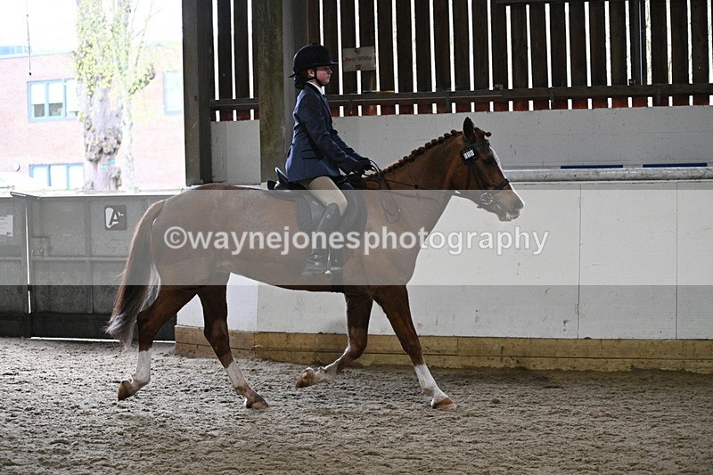 WJ7_3785 - Class 17 Ridden Cob