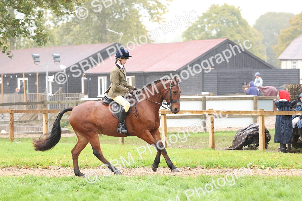 SBM_73000 - S63 Show Pony & Show Hunter Pony Ridden