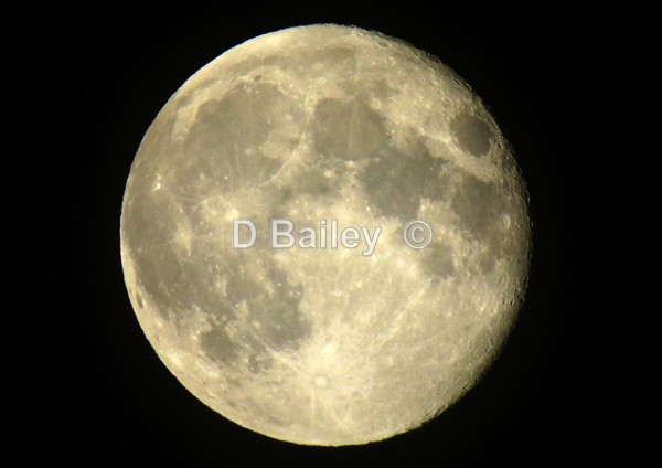 The moon