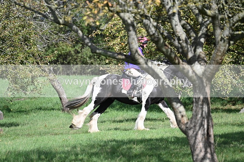 WJ7_0181 - Time 12:53 to 13:03