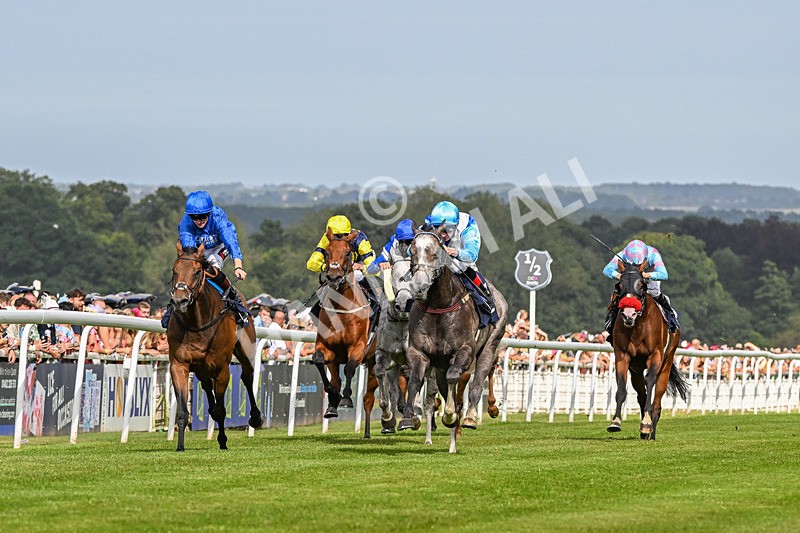 140824-Race 5-Havana Blue-3735 - Race 5