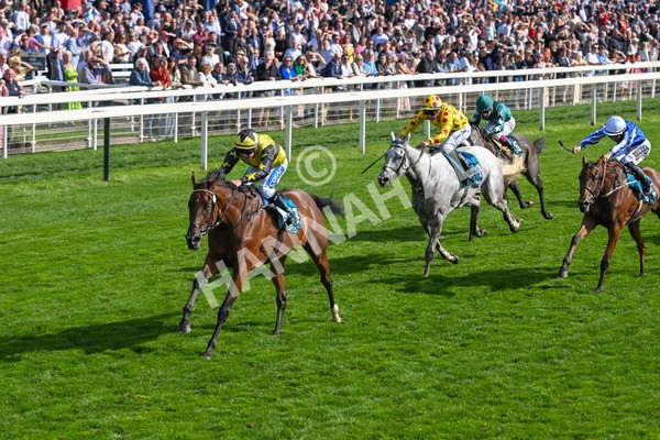 220825-Race 5-Cape Flora-7670 - Race 5 4.10pm Assured Data Protection EBF Fillies' Handicap