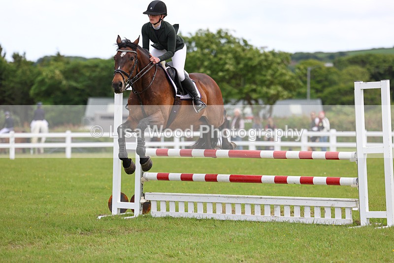 3E7A7790 - Class 13: Senior British Novice/90cm open