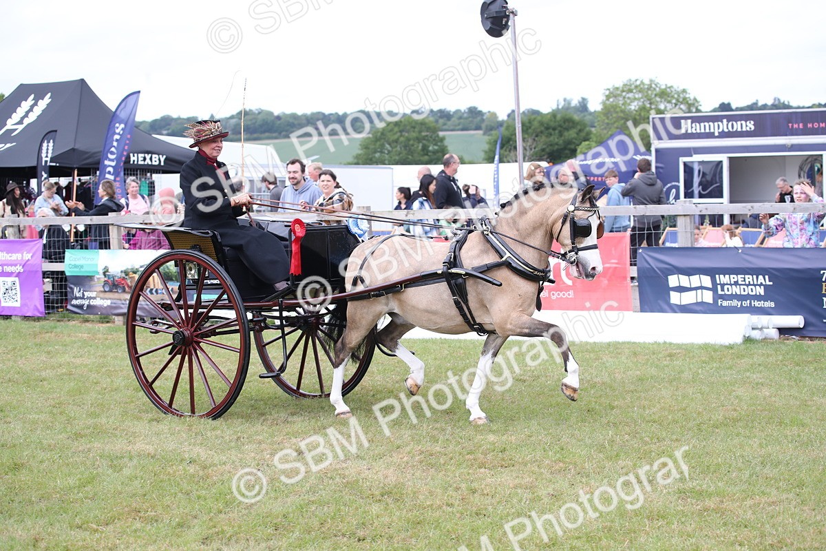 SBM_05875 - Class 12-15 - HOYS Private Driving