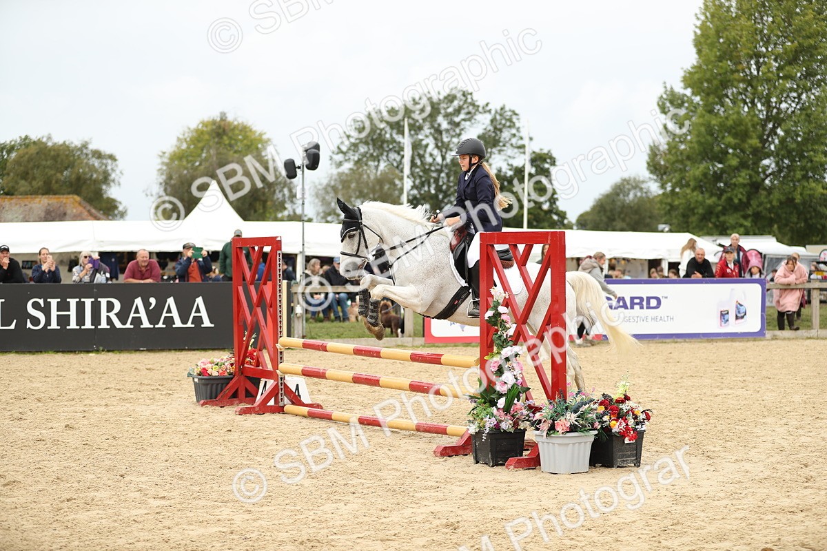 SBM_59477 - J25 - Junior Horse 80cm Championship