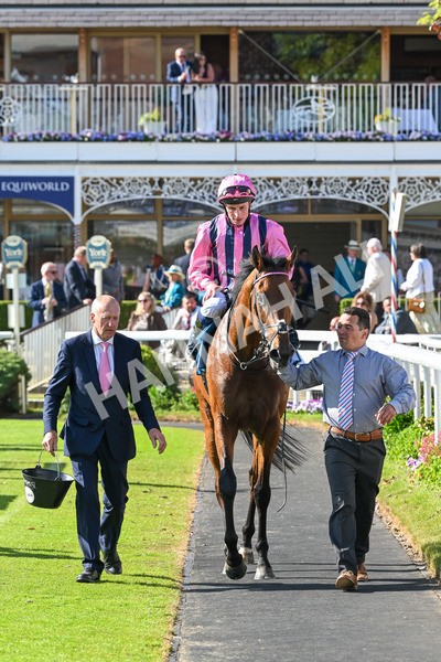 160525-Race 6-Bowmark-7249 - Race 6 4.55pm Darley EBF 'Confined' Novice Stakes