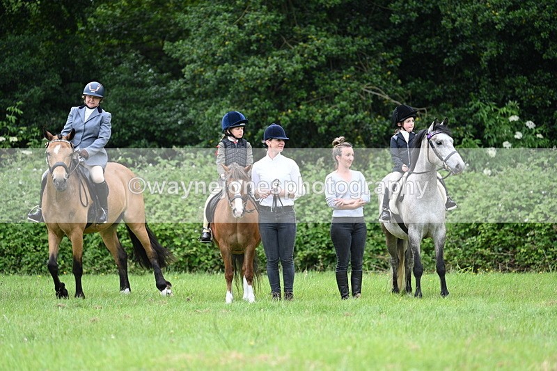 WJ7_4194 - Class 14A Handsome Gelding