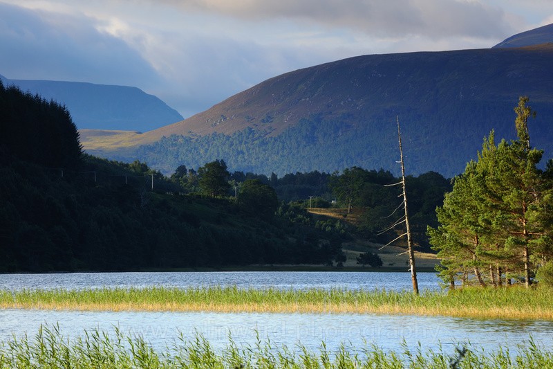 Loch Pityoulish, Cairngorms. - Scotland