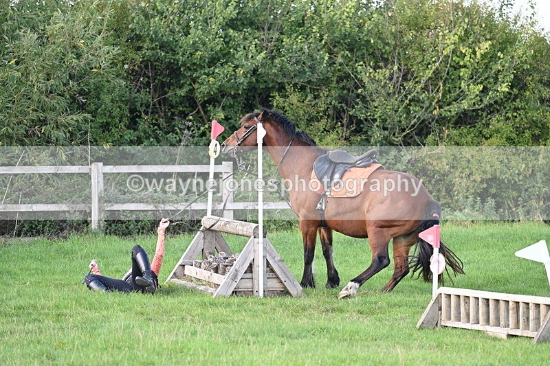 WJ7_1227 - Time 13:56 to 14:24