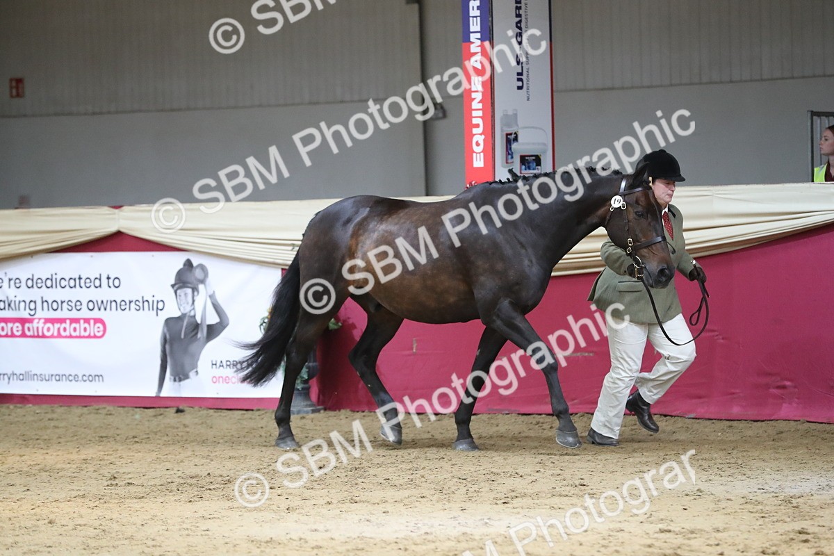 SBM_06252 - Class 9R Regional- IH Pre Vet