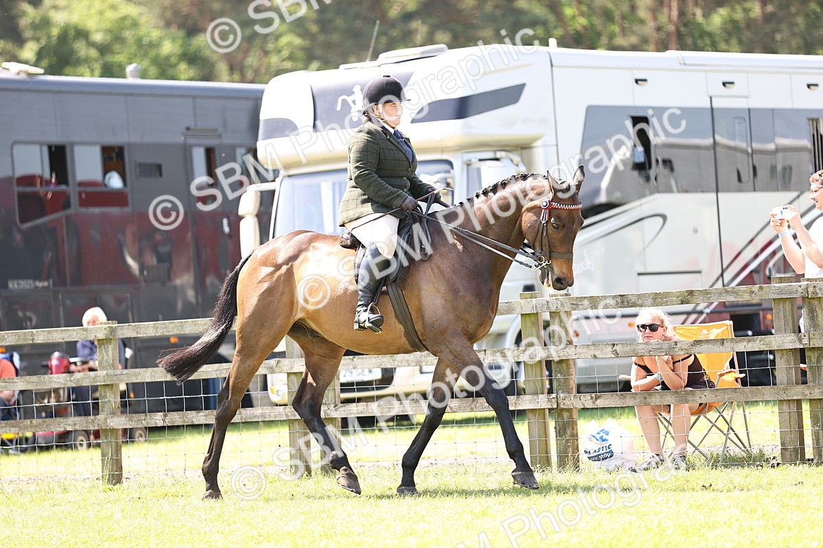 SBM_14815 - Class 78 - LIHS BSHA Open Racehorse & Show Horse